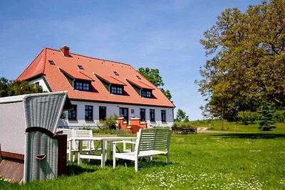 Koje