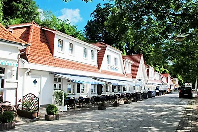 Albergo Cultura ed escursioni Sassnitz