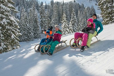 Vakantieappartement Gezinsvakantie Damüls