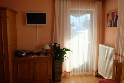 Appartement 5 (Gr. Einraumappartement mit Bal...