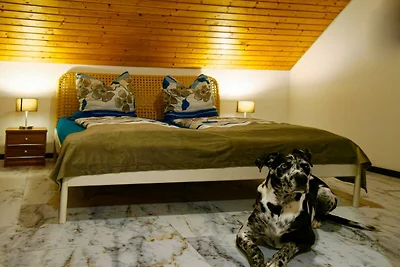 Vakantieappartement Gezinsvakantie Diebach