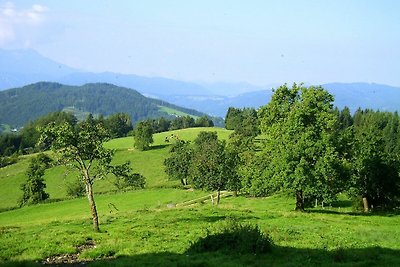 Vakantiehuis Ontspannende vakantie Weyregg am Attersee