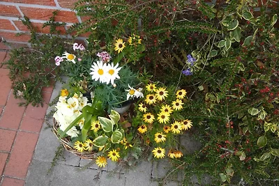 Vakantieappartement Gezinsvakantie Leer