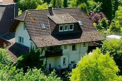 3-Raum Ferienwohnung