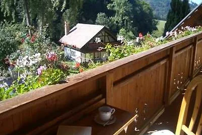Ferienwohnung 32qm, 1 Wohn-/Schlafraum