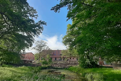 Vakantiehuis Ontspannende vakantie Carinerland