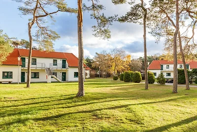 Albergo Cultura ed escursioni Altenkirchen