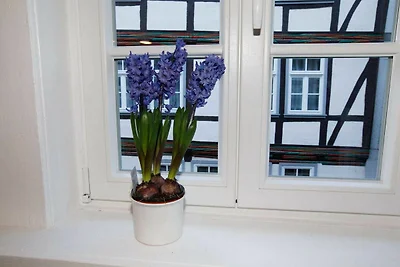 Ferienwohnung 1