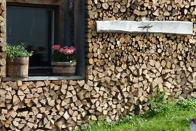 Bio living Hüttenblick Zimmer mit Küche