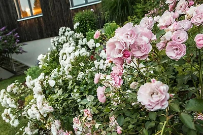 Urlaubsdomizil Wälder Vakanz