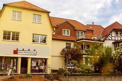 Vakantieappartement Gezinsvakantie Bad Sachsa