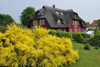 03 Ferienappartement mit Terrasse