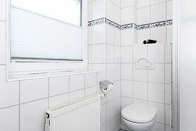 Albergo Cultura ed escursioni Neuharlingersiel