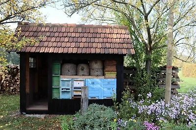 Vakantieappartement Gezinsvakantie Byhleguhre-Byhlen