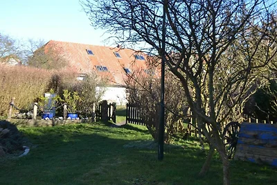 Appartamento Vacanza con famiglia Hiddensee