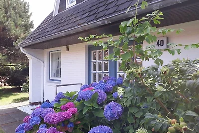 3-Zimmerwohnung
