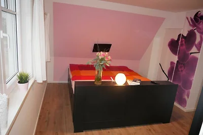 Albergo Cultura ed escursioni Rerik