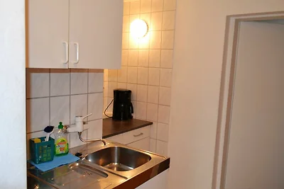 Grauer Esel E2