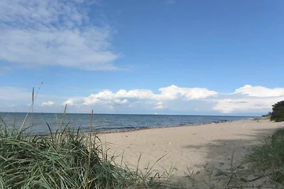 Whg. Wismar, Gross Schwansee
