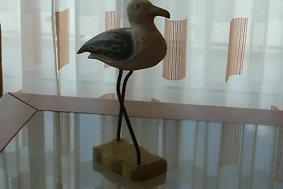 Strandmöwe