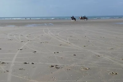 Vakantiehuis Ontspannende vakantie De Panne