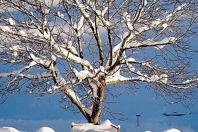 Vakantiehuis Ontspannende vakantie Mondsee