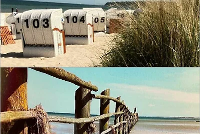 Appartement Seevogel