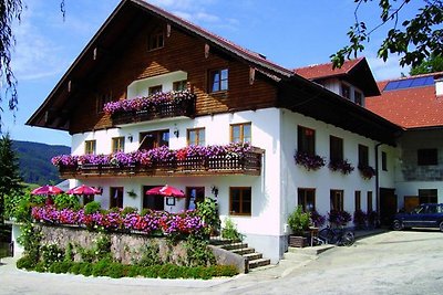 Vakantieappartement Gezinsvakantie Zell am Moos