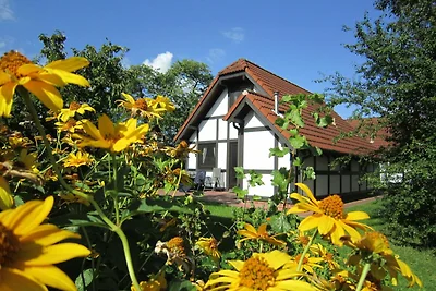 Hotel Cultuur en bezienswaardigheden Hollern-Twielenfleth