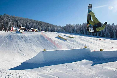 Appartamento Vacanza con famiglia Schladming