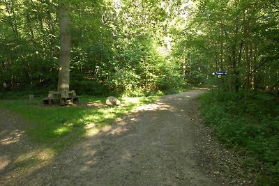 Ferienwohnung Wiesengrund