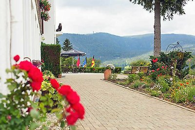 Hotel Cultuur en bezienswaardigheden Feldberg