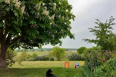 Vakantieappartement Gezinsvakantie Dahmen