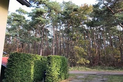 Vakantiehuis Ontspannende vakantie Juliusruh