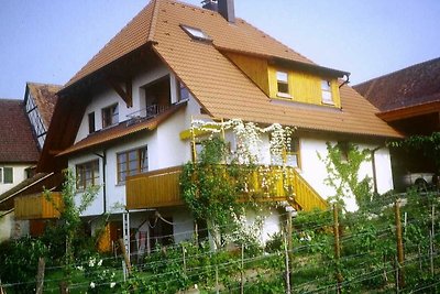 Vakantieappartement Gezinsvakantie Markdorf