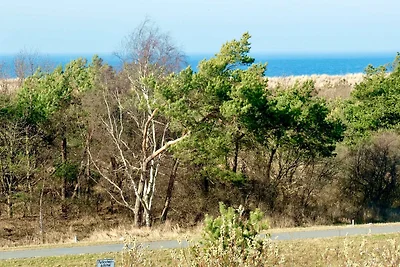 Vakantieappartement Gezinsvakantie Dierhagen