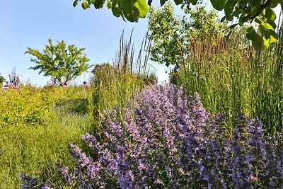 Vakantieappartement Gezinsvakantie Lancken-Granitz