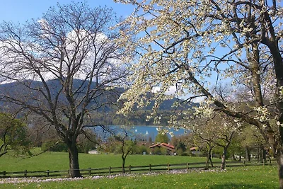 Vakantieappartement Gezinsvakantie Gmund am Tegernsee