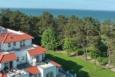 FeWo Strandkrabbe A 3.16 Ref. 159955