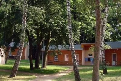 Albergo Cultura ed escursioni Ückeritz