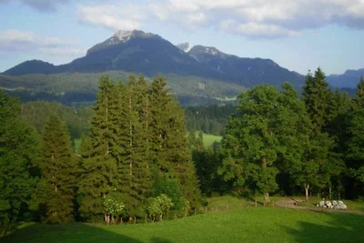 Wohnung Breitenstein