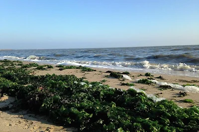 Puschmann Wenningstedt