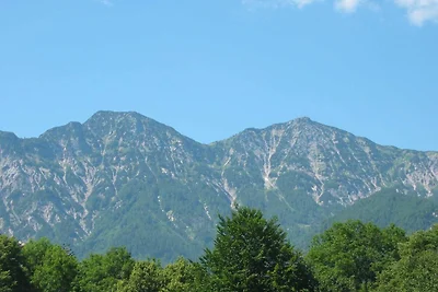 Vakantieappartement Gezinsvakantie Bad Goisern