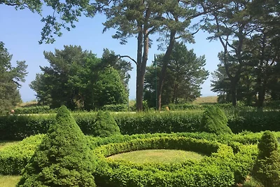 Appartamento Vacanza con famiglia Heringsdorf