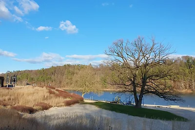 Vakantiehuis Ontspannende vakantie Bad Arolsen