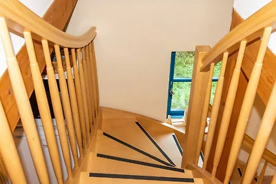 Albergo Cultura ed escursioni Neuenkirchen