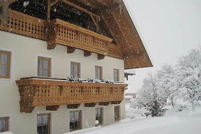 Ferienwohnung Schafbergblick