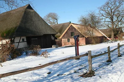 Appartement Strand- Heim