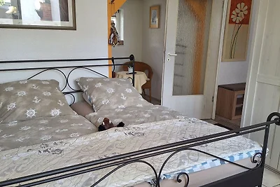 Ferienwohnung Käuzchen