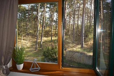 2 Raum Fewo Sonne Strand Ostsee